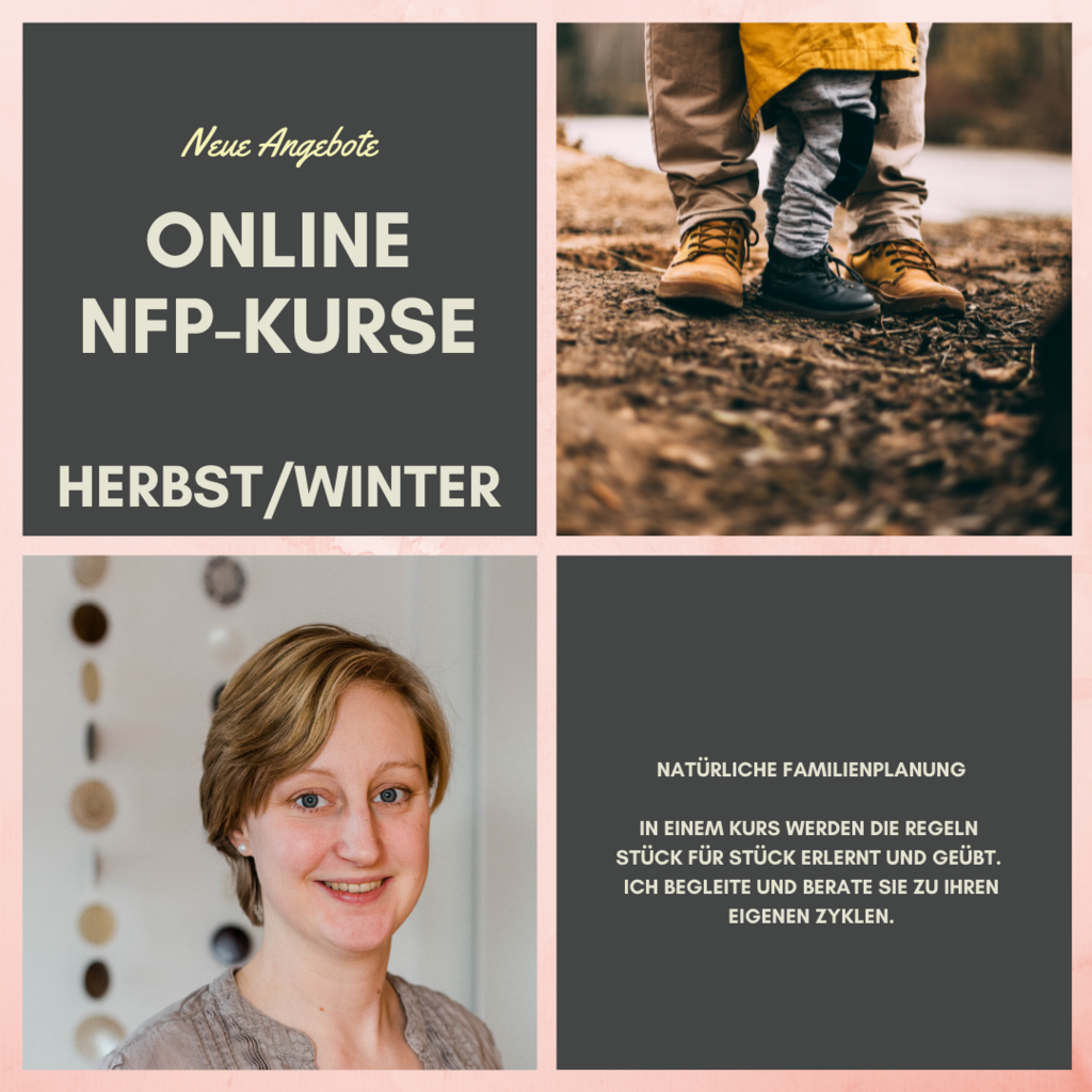 NFP-Gruppen-Einführungskurs NFP-Gruppen-Einführungskurs