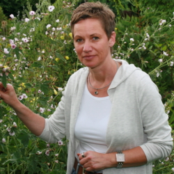 Petra Linnenbrügger - Heilpraktikerin