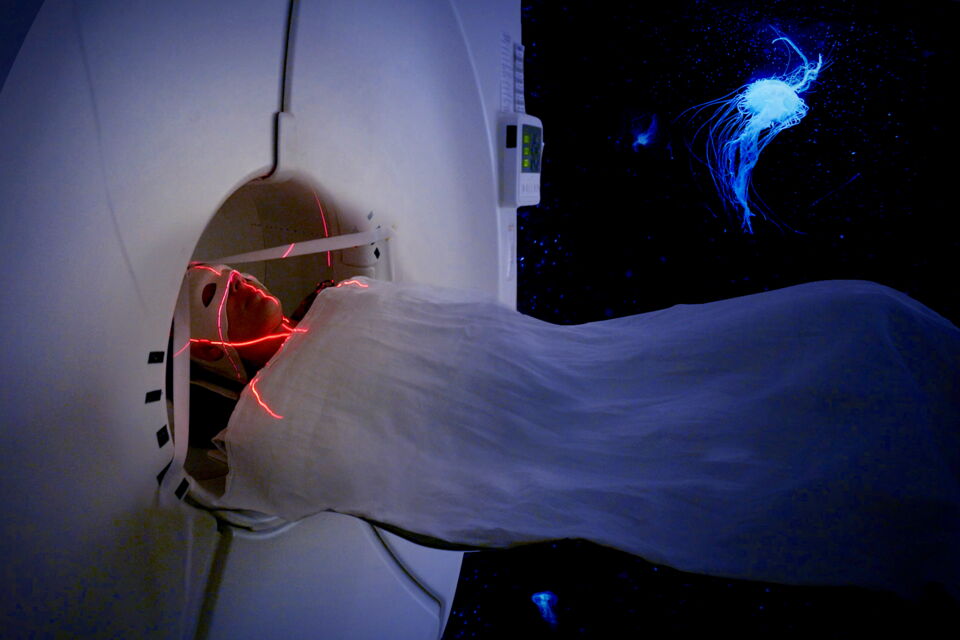 AWARE- Reise in das Bewusstsein. Psilocybin Study Scanner