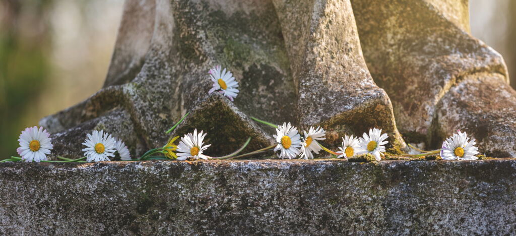 Gänseblümchen zur Zierde abgelegt auf Sockel einer verwitterten, mit Flechten bewachsenen Statue, langes Gewand, Füße, vielleicht Engel