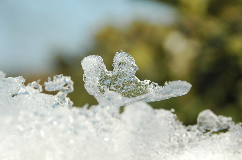 Schnee