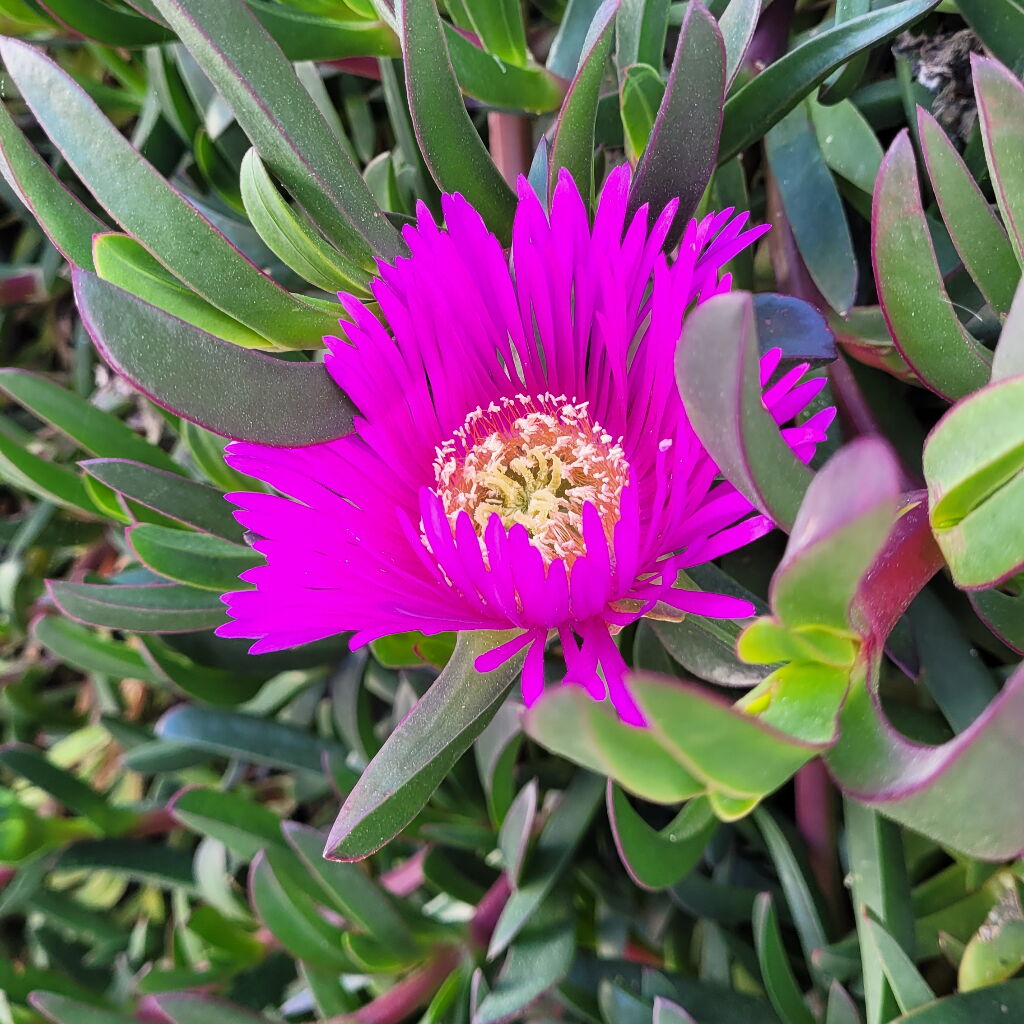 Kerstin Barwa, MA - Reiki Meisterin, Choach, Channel