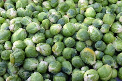 Rosenkohl