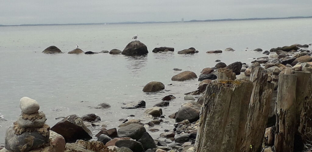 Meer