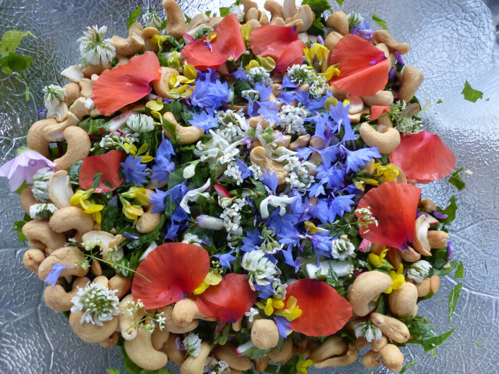 Kräutergang mit Gourmet-Menü