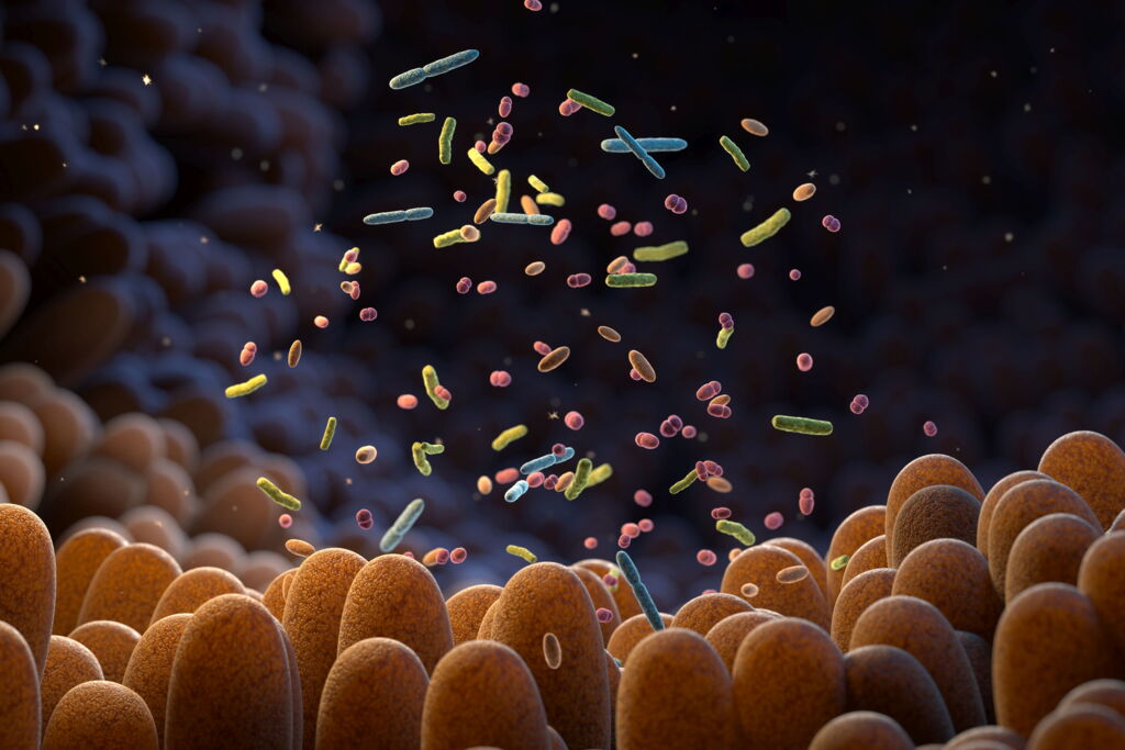 Microbiom Verdauungstrakt. Makrobild Illustration. Gruppe von Bakterien in verschiedener Form Farbe Größe wie fliegend oberhalb von Darmzotten Microbiom Verdauungstrakt. Makrobild Illustration. Gruppe von Bakterien in verschiedener Form Farbe Größe wie fliegend oberhalb von Darmzotten